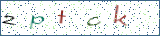 Type the letters shown in the picture