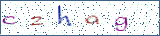 Type the letters shown in the picture