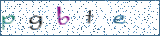 Type the letters shown in the picture