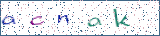Type the letters shown in the picture