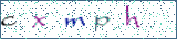 Type the letters shown in the picture