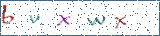 Type the letters shown in the picture