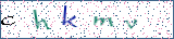 Type the letters shown in the picture