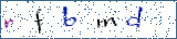 Type the letters shown in the picture