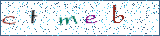 Type the letters shown in the picture