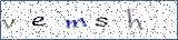 Type the letters shown in the picture
