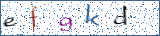 Type the letters shown in the picture