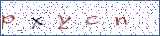 Type the letters shown in the picture