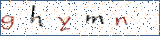 Type the letters shown in the picture