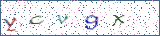 Type the letters shown in the picture