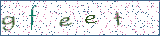 Type the letters shown in the picture
