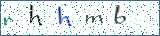 Type the letters shown in the picture