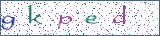 Type the letters shown in the picture