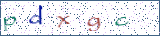 Type the letters shown in the picture