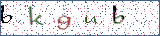 Type the letters shown in the picture