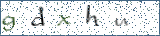 Type the letters shown in the picture