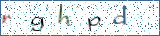 Type the letters shown in the picture