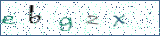 Type the letters shown in the picture