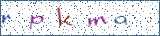Type the letters shown in the picture