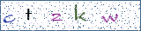 Type the letters shown in the picture