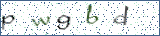 Type the letters shown in the picture